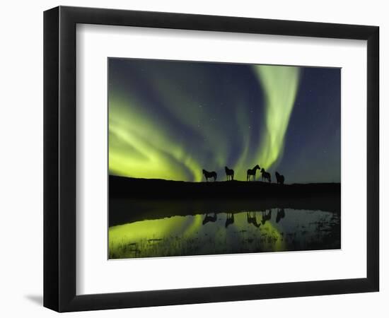 Horses under the Aurora Borealis-null-Framed Premium Photographic Print