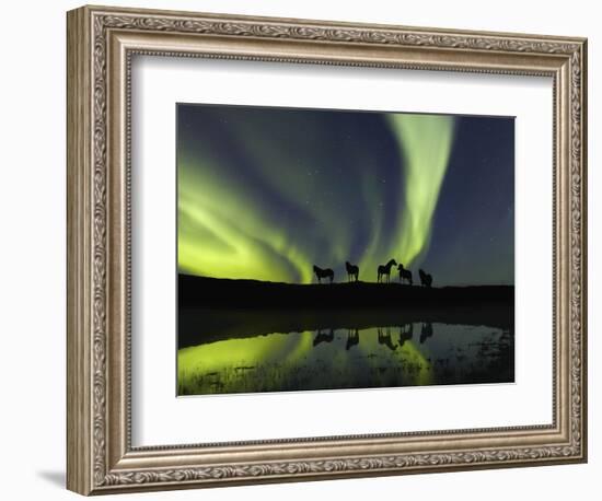 Horses under the Aurora Borealis-null-Framed Photographic Print