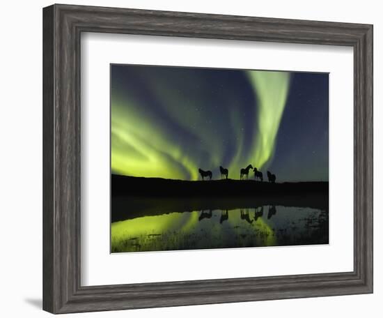 Horses under the Aurora Borealis-null-Framed Photographic Print