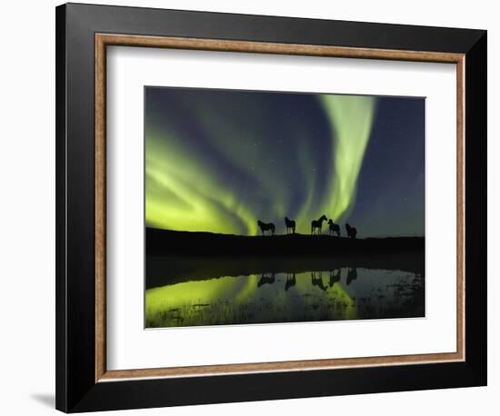 Horses under the Aurora Borealis-null-Framed Photographic Print