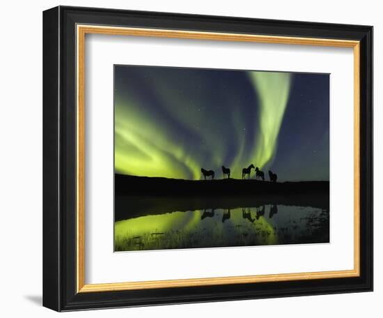 Horses under the Aurora Borealis-null-Framed Photographic Print