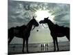Photographic Print