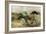 Horses, Wild and Free-Ken Roko-Framed Art Print