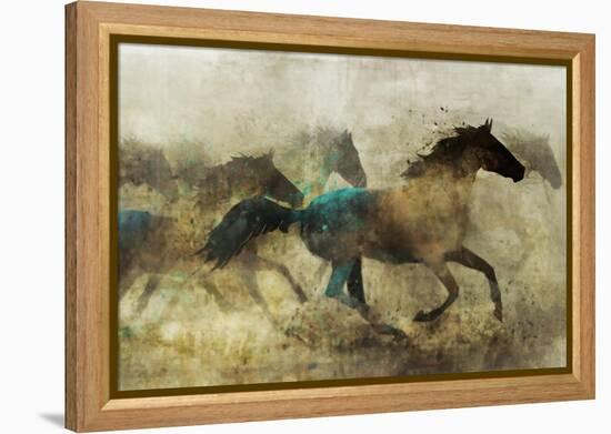 Horses, Wild and Free-Ken Roko-Framed Stretched Canvas