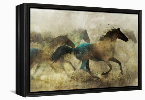 Horses, Wild and Free-Ken Roko-Framed Stretched Canvas