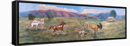 Horses with Fence in Pasture-Judy Mastrangelo-Framed Premier Image Canvas
