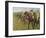 Horses with Jockeys, 1910-Edgar Degas-Framed Giclee Print