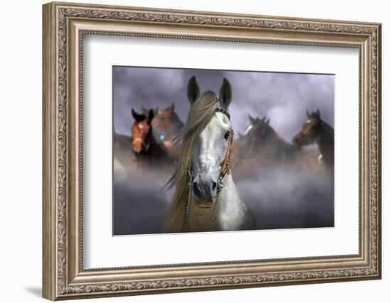 Horses-Kadir Civici-Framed Photographic Print