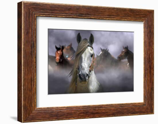 Horses-Kadir Civici-Framed Photographic Print