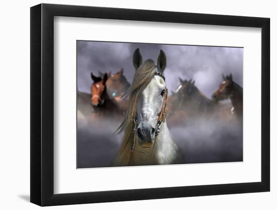 Horses-Kadir Civici-Framed Photographic Print