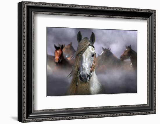 Horses-Kadir Civici-Framed Photographic Print