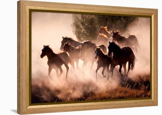 Horses-Lisa Dearing-Framed Premier Image Canvas
