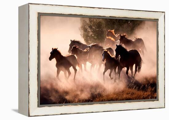 Horses-Lisa Dearing-Framed Premier Image Canvas