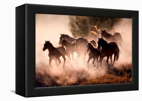 Horses-Lisa Dearing-Framed Premier Image Canvas