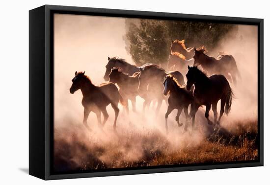 Horses-Lisa Dearing-Framed Premier Image Canvas