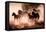 Horses-Lisa Dearing-Framed Premier Image Canvas