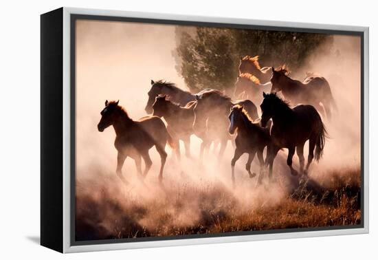 Horses-Lisa Dearing-Framed Premier Image Canvas