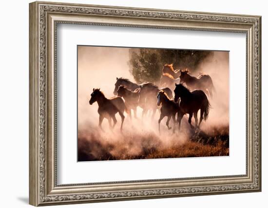 Horses-Lisa Dearing-Framed Photographic Print