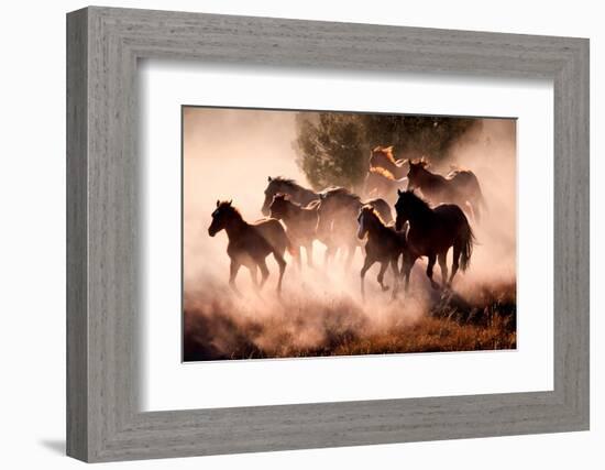 Horses-Lisa Dearing-Framed Photographic Print