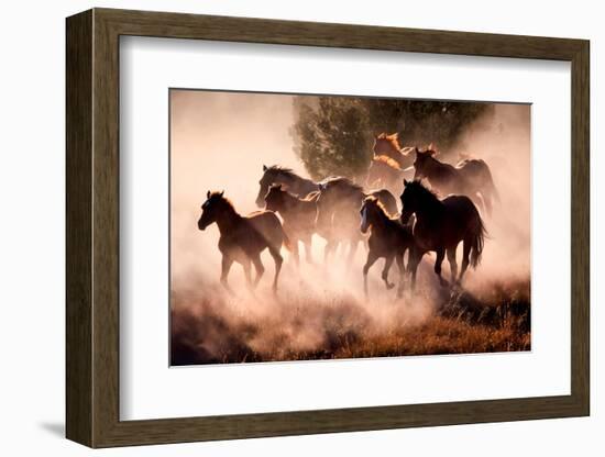 Horses-Lisa Dearing-Framed Photographic Print