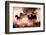 Horses-Lisa Dearing-Framed Photographic Print