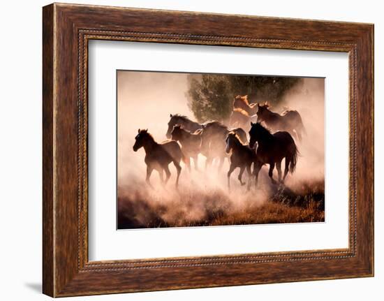 Horses-Lisa Dearing-Framed Photographic Print