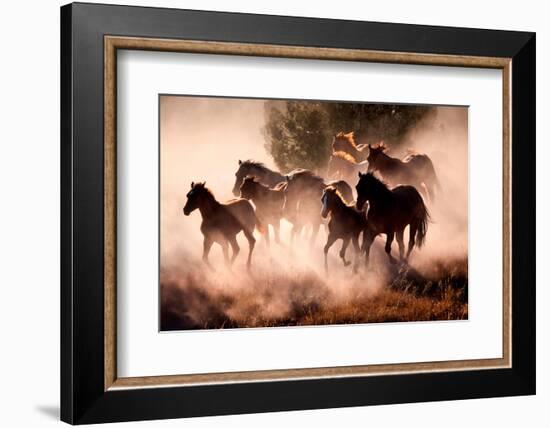 Horses-Lisa Dearing-Framed Photographic Print