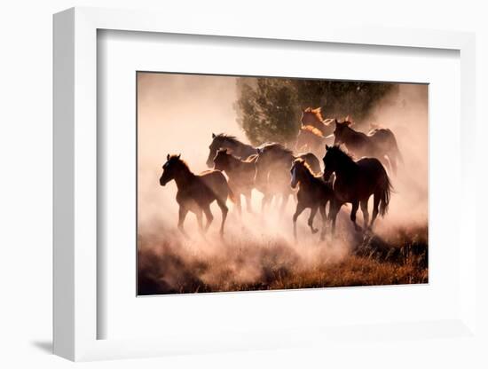 Horses-Lisa Dearing-Framed Photographic Print