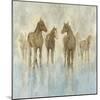 Horses-Randy Hibberd-Mounted Art Print