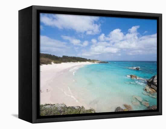 Horseshoe Bay Beach, Bermuda, Central America-Michael DeFreitas-Framed Premier Image Canvas