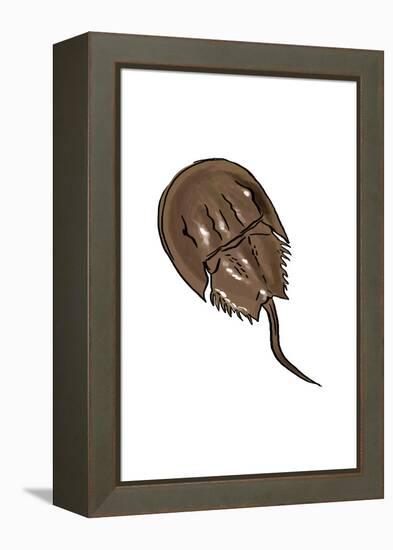 Horseshoe Crab - Icon-Lantern Press-Framed Stretched Canvas