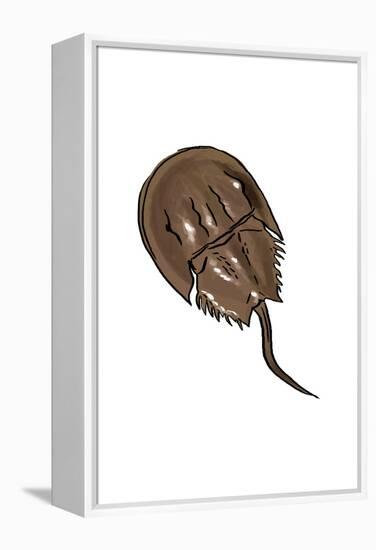 Horseshoe Crab - Icon-Lantern Press-Framed Stretched Canvas