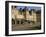 Horseshoe Staircase Dating from 1632-1634, Chateau of Fontainebleau, Seine-Et-Marne-Nedra Westwater-Framed Photographic Print