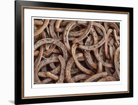 Horseshoes-Donald Paulson-Framed Giclee Print