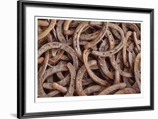 Horseshoes-Donald Paulson-Framed Giclee Print