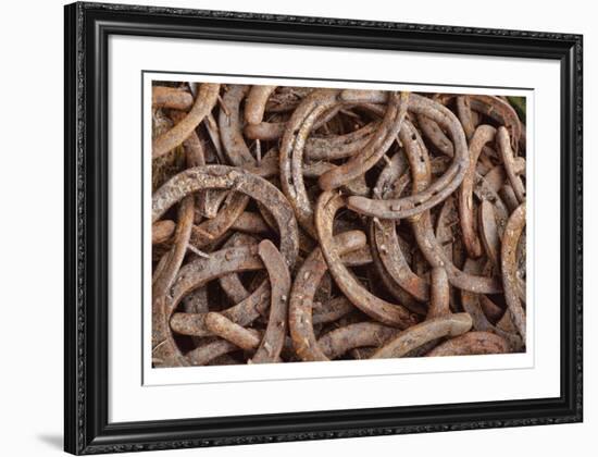 Horseshoes-Donald Paulson-Framed Giclee Print