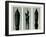 Horsetail Rush, 1929 (Photogravure)-Karl Blossfeldt-Framed Giclee Print