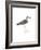 Horsfield's Snipe-Maria Mendez-Framed Giclee Print