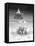 Horsing Around Vertical-Thomas Barbey-Framed Premier Image Canvas