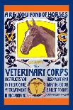 Join the Veterinary Corps-Horst Schreck-Framed Stretched Canvas