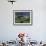 Horta, Azores, Portugal-Amos Nachoum-Framed Photographic Print displayed on a wall