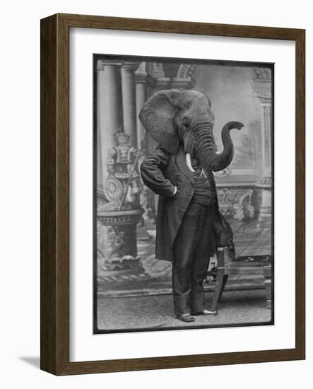 Hortence J Pacadorf-Grand Ole Bestiary-Framed Premium Giclee Print