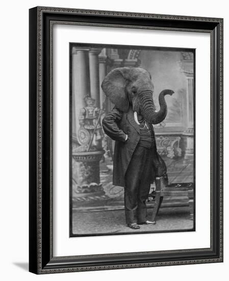 Hortence J Pacadorf-Grand Ole Bestiary-Framed Premium Giclee Print