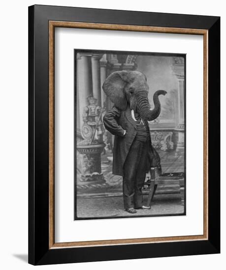 Hortence J Pacadorf-Grand Ole Bestiary-Framed Art Print