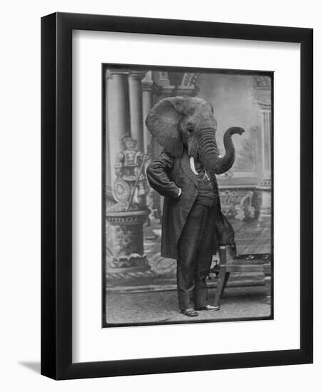 Hortence J Pacadorf-Grand Ole Bestiary-Framed Art Print