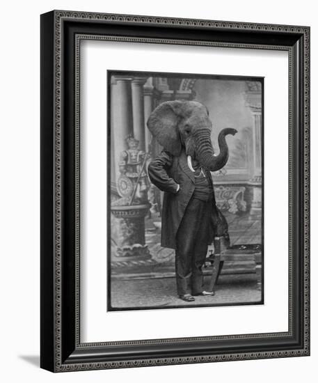 Hortence J Pacadorf-Grand Ole Bestiary-Framed Art Print