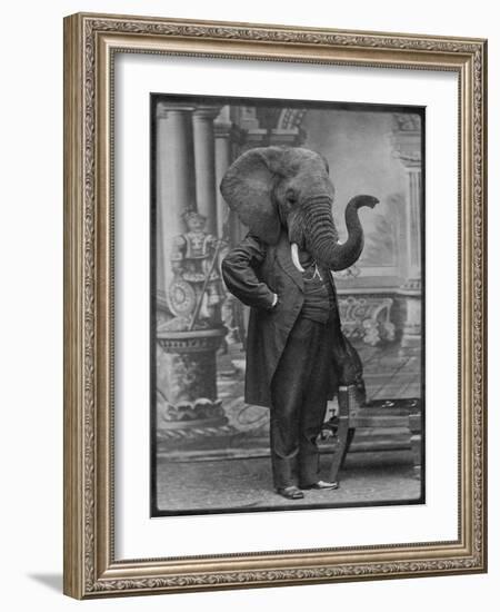 Hortence J Pacadorf-Grand Ole Bestiary-Framed Art Print