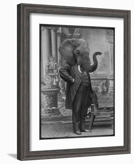 Hortence J Pacadorf-Grand Ole Bestiary-Framed Art Print