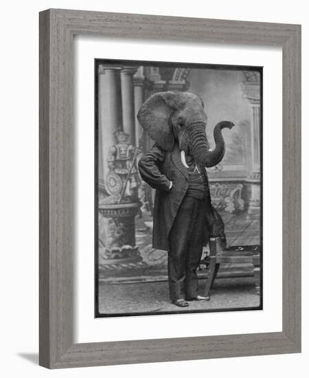 Hortence J Pacadorf-Grand Ole Bestiary-Framed Art Print