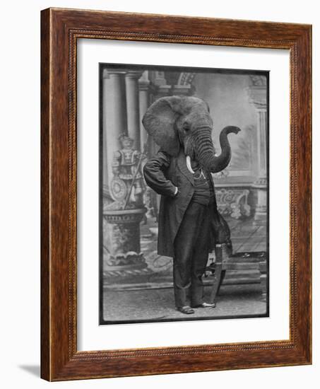 Hortence J Pacadorf-Grand Ole Bestiary-Framed Art Print